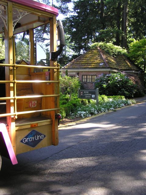 Hop-On Hop-Off Gray Line Pink Trolley Tour - 1 Day Ticket - Good To Know