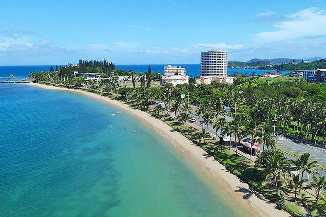 Hop-On Hop-Off / HOHO / All Day Pass (return ticket's) - Who Would Love This Tour