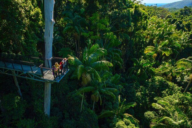 Hop on Hop off - Tamborine Rainforest Skywalk + Glow Worm Caves - The Sum Up: Is It Worth It?