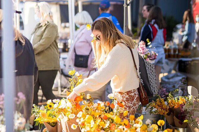 Hop on Hop off - Tamborine Rainforest Skywalk + Glow Worm Caves - FAQ