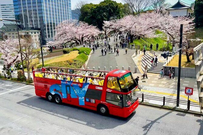 Hop-On Hop-Off Tokyo Bus by Skyhop Bus - What the Tour Offers: A Practical Overview