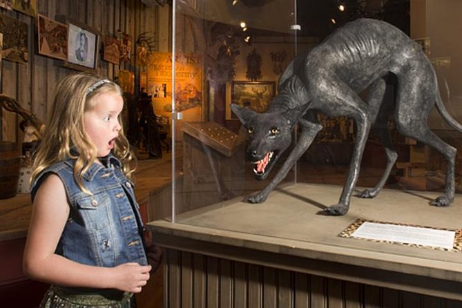 Hop-On Hop-Off Tour, Buckhorn Saloon and Museum of Art Admission - Overview of the Tour