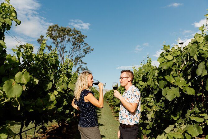 Hop on Hop off Wine tasting tour to Tamborine Mountain - FAQs