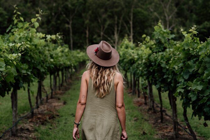 Hop on Hop off Wine tasting tour to Tamborine Mountain - Final Thoughts