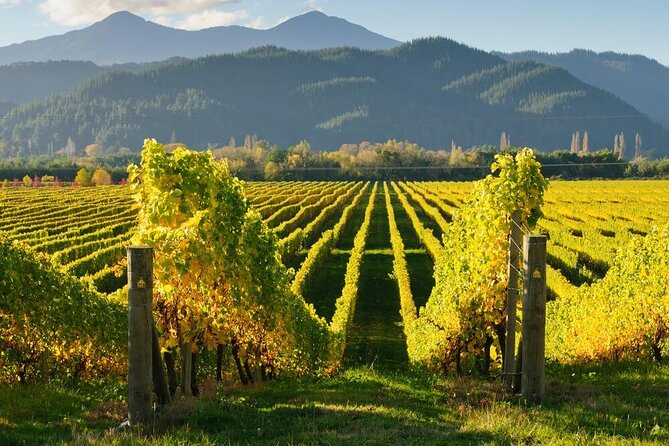 Hop on Hop off Wine Tours Marlborough - Top Wineries to Visit on the Tour