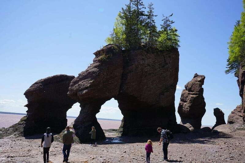 Hopewell Cape: Hopewell Rocks Admission - Good To Know
