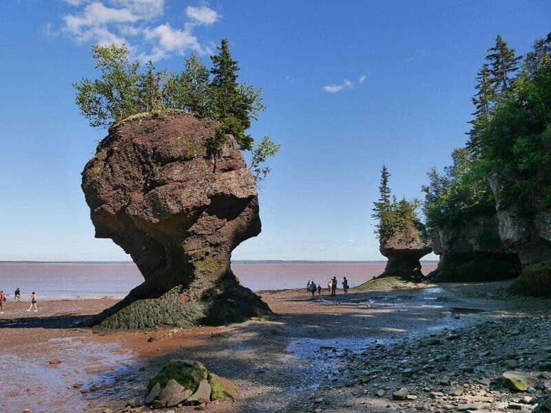 Hopewell Cape: Hopewell Rocks Admission - An In-Depth Look at the Hopewell Rocks Experience
