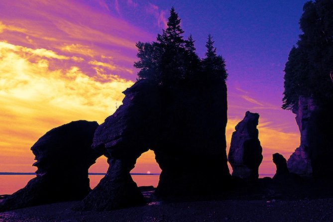 Hopewell Rocks Admission - Multi-media Exhibits at Hopewell Rocks