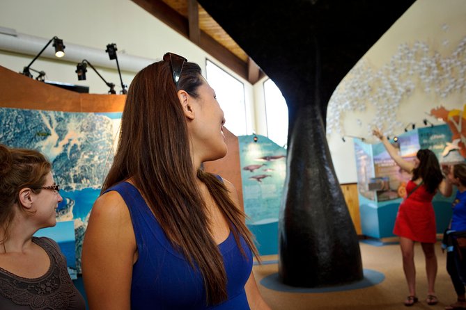 Hopewell Rocks Admission - Admission Details and Pricing