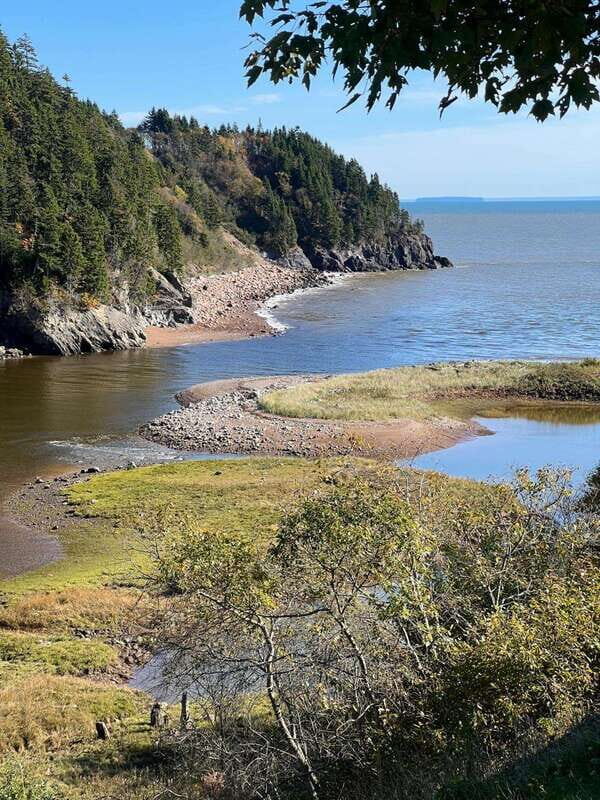 Hopewell Rocks and Fundy National Park Private Tour - Good To Know