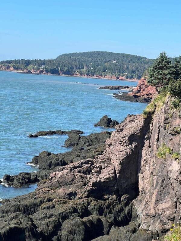 Hopewell Rocks and Fundy National Park Private Tour - A Deep Dive into the Tour Experience