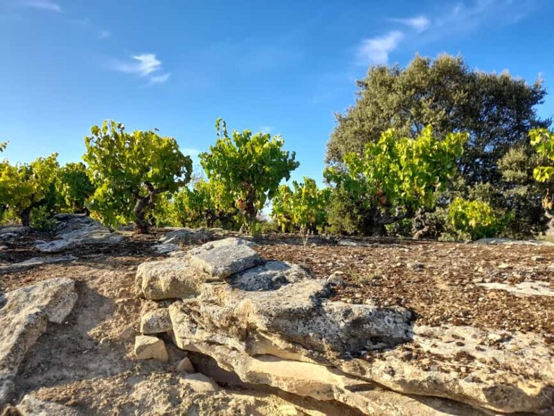 HOPLITA and FRIENDS tasting - Introduction