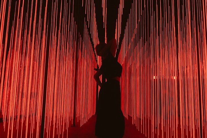 Hopscotch Immersive Art Experience - Live Performances and Entertainment