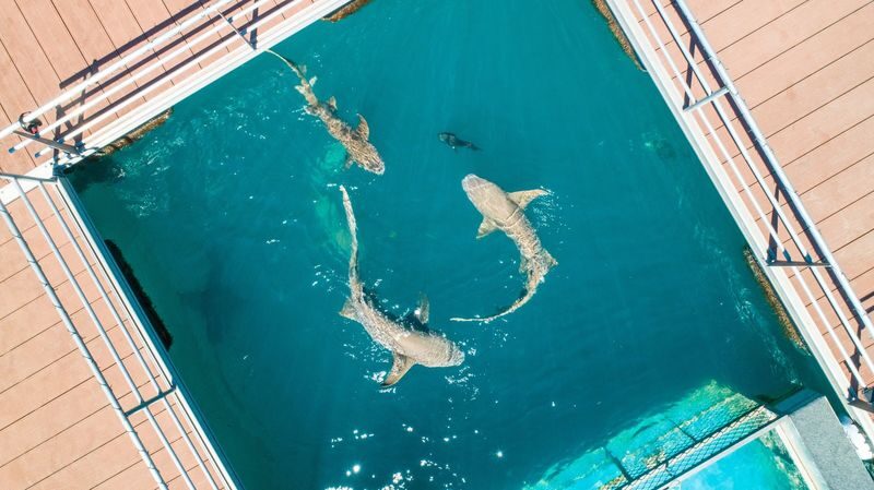 Horizontal Falls & Dampier Peninsula Full Day Tour from Broome - The overland route across the Dampier Peninsula
