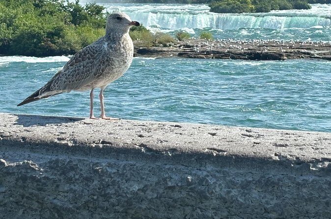 Hornblower Boat and Walking Tour of Niagara Falls - Final Thoughts: Is This Tour Right for You?