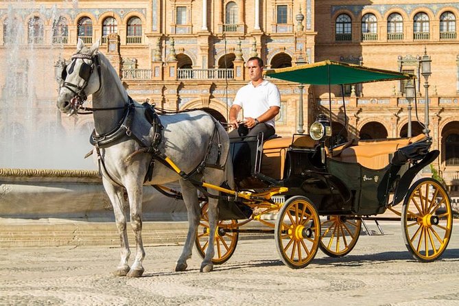 Horse and Buggy Ride in Seville With Guide - Tour Highlights