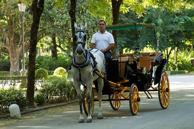 Horse and Buggy Ride in Seville With Guide - Reviews