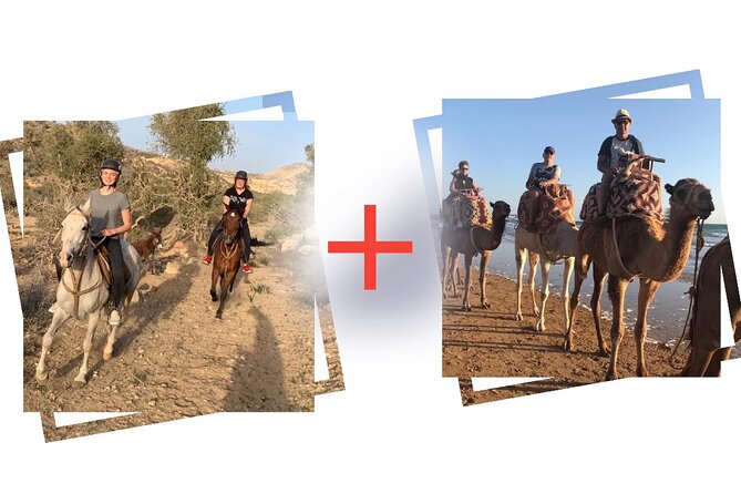 Horse and Camel Ride From Agadir or Taghazout - Good To Know