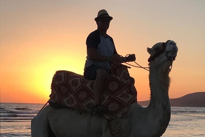 Horse and Camel Ride From Agadir or Taghazout - Inclusions and Transfers