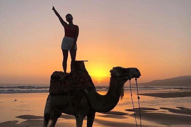 Horse and Camel Ride From Agadir or Taghazout - Pickup Points and Details