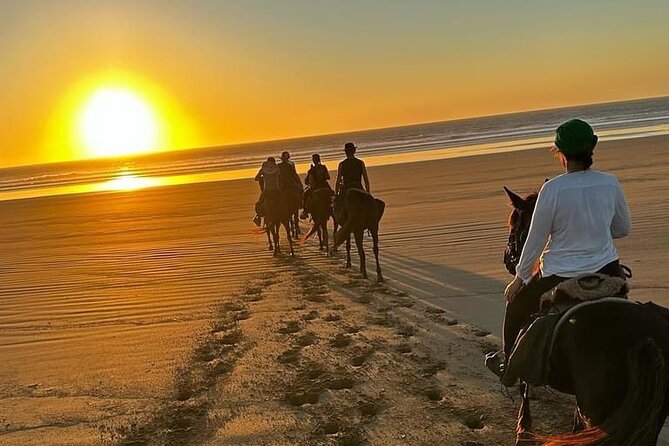 Horse and Camel Ride From Agadir or Taghazout - Additional Details