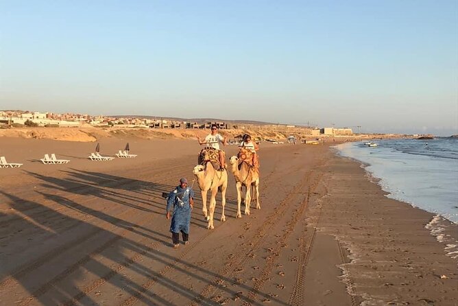 Horse and Camel Ride From Agadir or Taghazout - Booking Options and Pricing