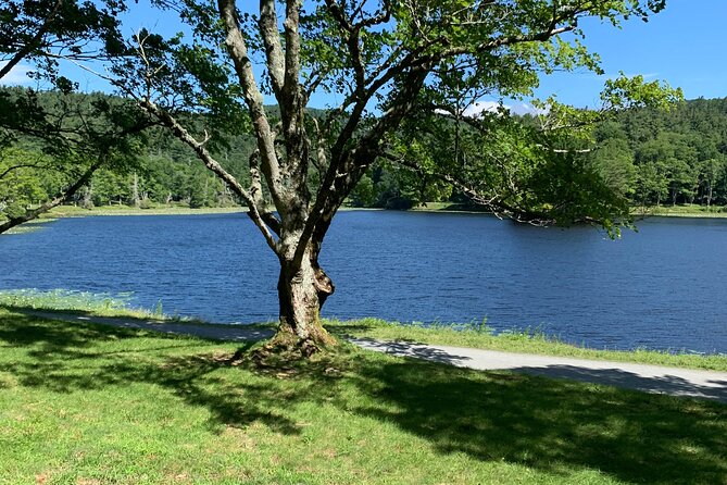 Horse and Carriage Ride Through Moses H. Cone Park - Meeting and Pickup Information