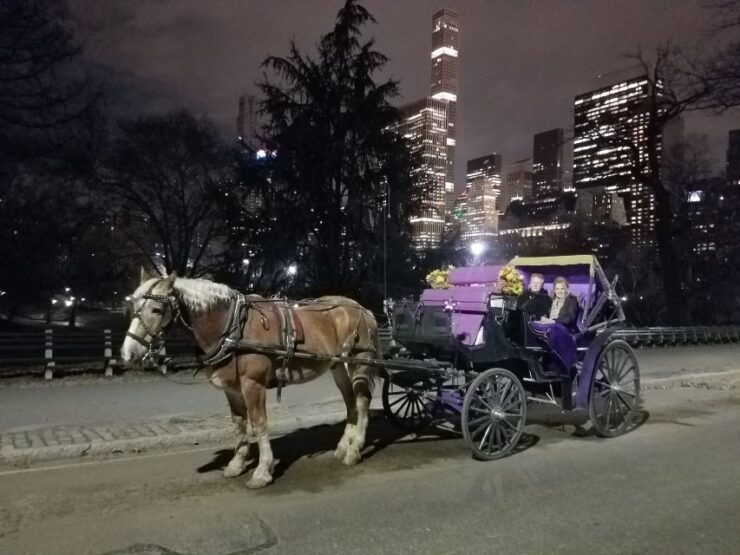 Horse and Carriage Rides Central Park - Booking and Flexibility Options