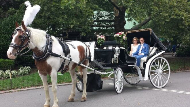 Horse and Carriage Rides Central Park - Additional Options and Information