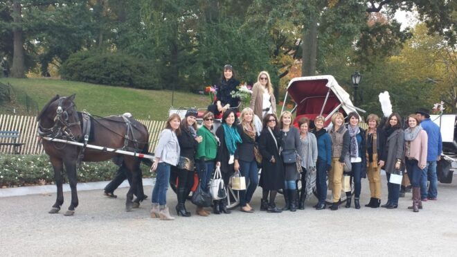 Horse and Carriage Rides Central Park - Customer Reviews and Location Information