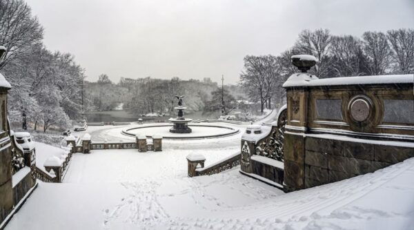 Horse and Carriage Rides Central Park - The Sum Up