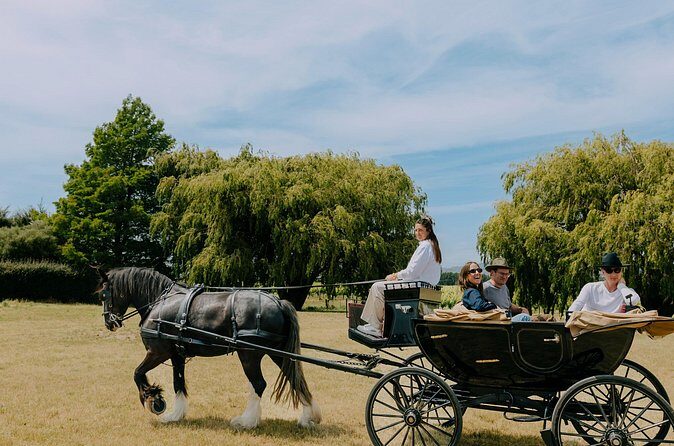 Horse and Carriage Wine Tour in Marlborough with Lunch - Price and Value Analysis