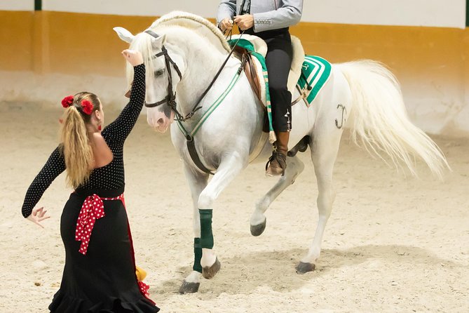 Horse and Flamenco Show in Malaga - Highlights of the Horse Performance