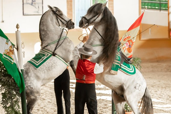 Horse and Flamenco Show in Malaga - Unforgettable Flamenco Dancing