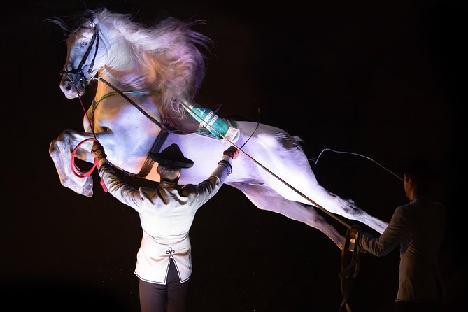 Horse and Flamenco Show in Malaga - Important Information for Visitors