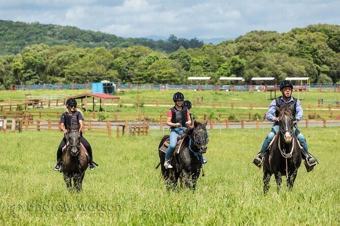 Horse and Quad bike tour with a visit to a Petting Zoo - FAQs