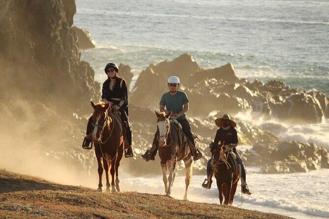 Horse Back Ridding Tour on the Pacific Ocean & Desert - Good To Know