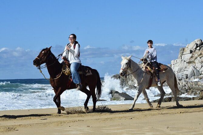 Horse Back Ridding Tour on the Pacific Ocean & Desert - A Deep Dive into the Horseback Riding Experience in Cabo