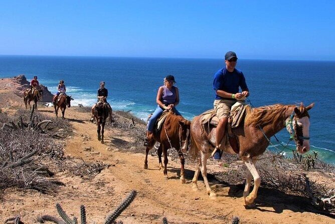 Horse Back Ridding Tour on the Pacific Ocean & Desert - Authentic Reviews: What Travelers Are Saying