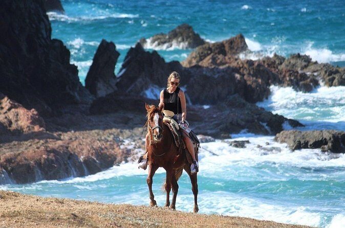 Horse Back Ridding Tour on the Pacific Ocean & Desert - Who Is This Tour Best For?