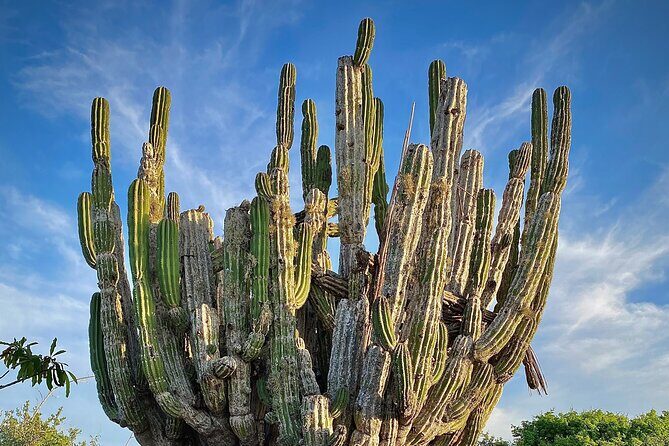 Horse Back Ridding Tour on the Pacific Ocean & Desert - FAQ