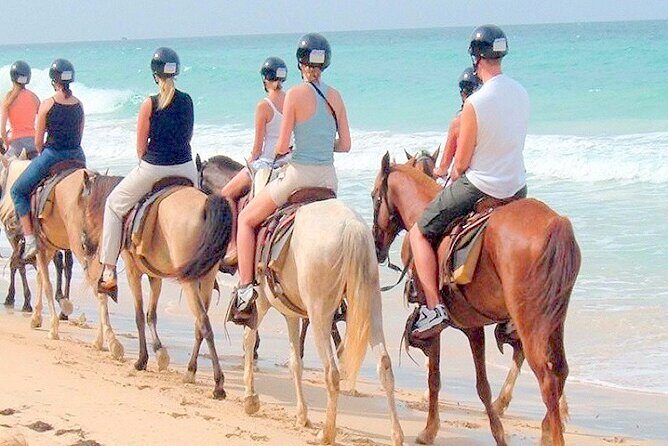 Horse Back Riding Adventure in Punta Cana - Who Would Love This Tour?