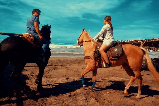 Horse Back Riding And Baby Turtle Camp Visit - A Quick Introduction to the Horseback Riding and Baby Turtle Camp Visit