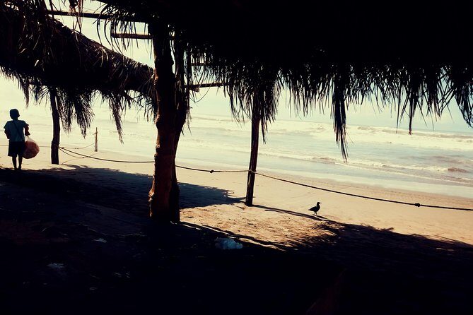 Horse Back Riding And Baby Turtle Camp Visit - Discovering the Experience: What’s Included and What’s Not