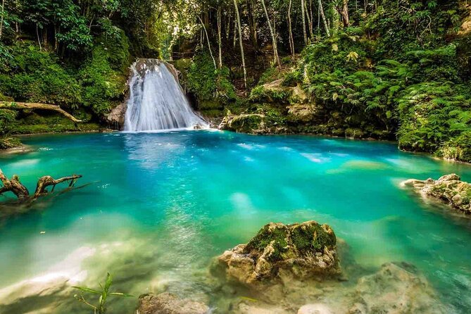 Horse Back Riding and Blue Hole Ocho Rios Private Tour - Tour Highlights