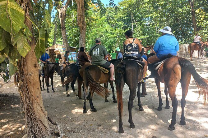 Horse Back Riding in Ocho Rios - Good To Know