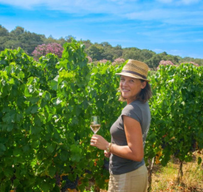 Horse Back Riding Wine Tasting in Ramatuelle - Activity Details