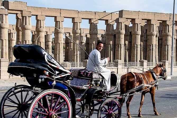 Horse Carriage City Tour in Luxor City With Meal and Soft Drink - Tour Pricing and Inclusions