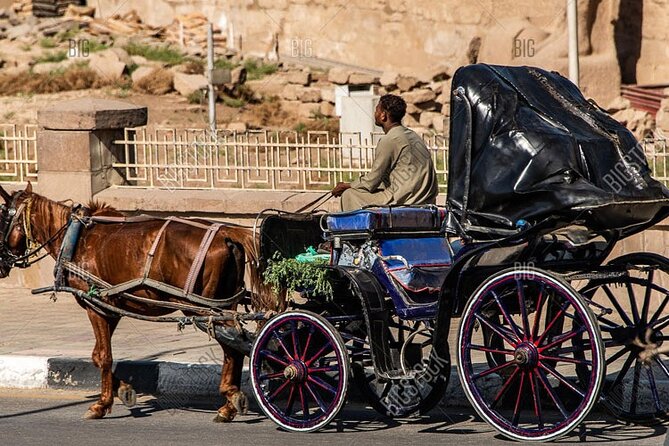 Horse Carriage City Tour in Luxor City With Meal and Soft Drink - Booking Process and Policies