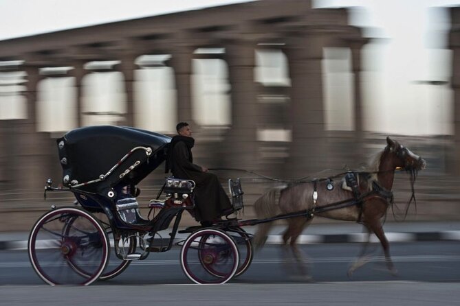 Horse Carriage in Aswan - Good To Know